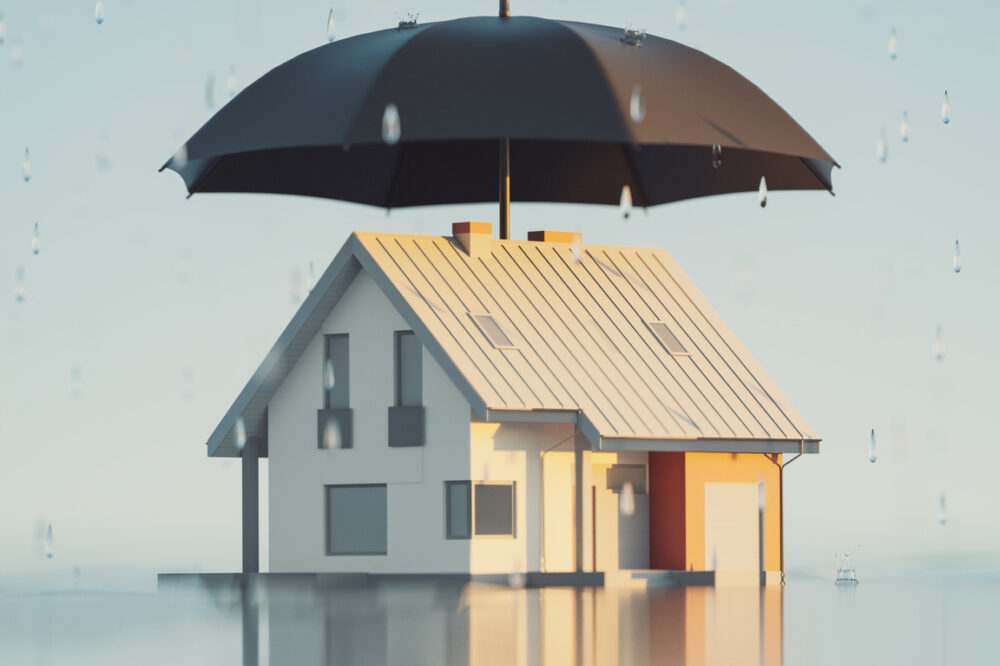 People-Centered Solutions: Innovating for Climate Resilience