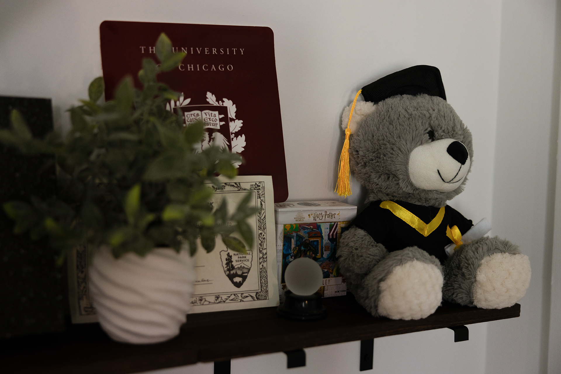 A shelf in Zerui's home with his diploma, certificate, stuffed graduate bear, and a Harry Potter collector's toy